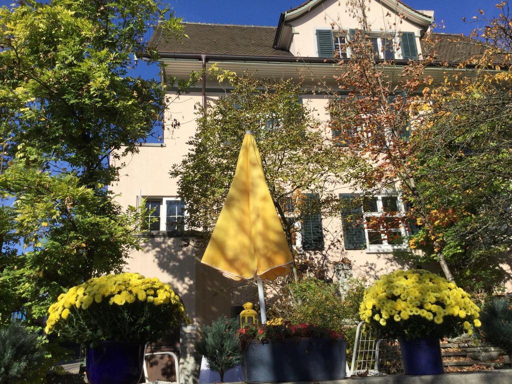 Garden Studio Apartment Zuerichberg Eksteriør bilde